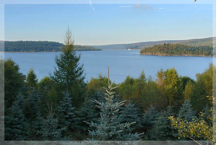 Přísečnice